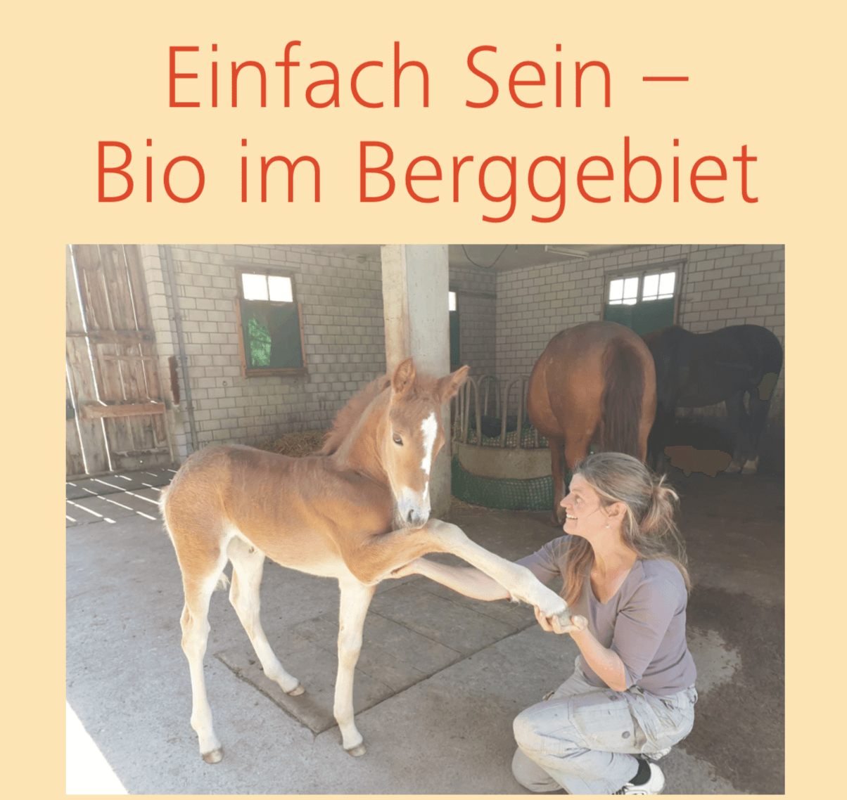 Jetzt bestellen - Bergheimat-Hoftafel...