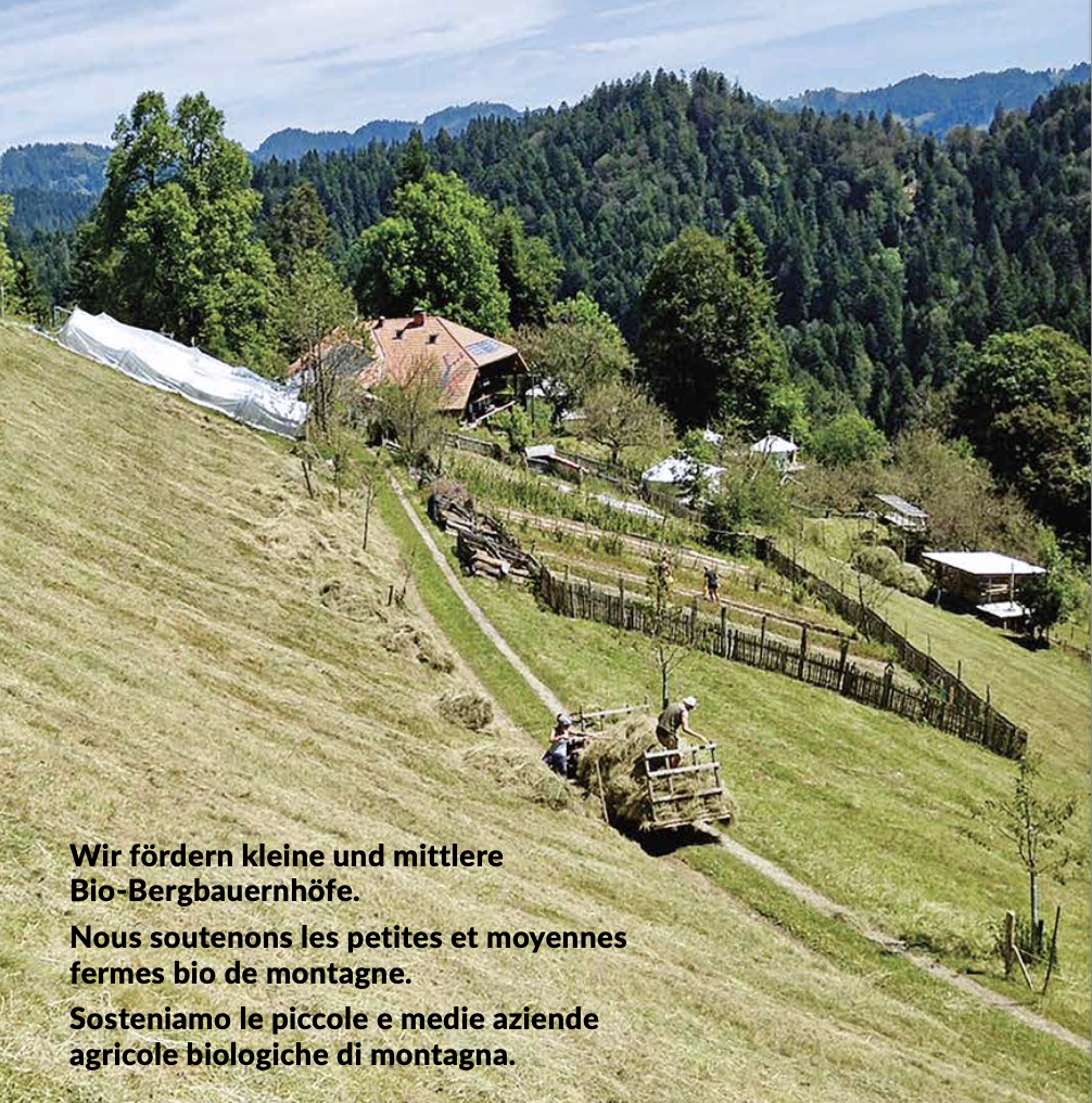 Rückblick auf 50 Jahre / Rétrospective sur 50 ans / Retrospettiva su 50 anni