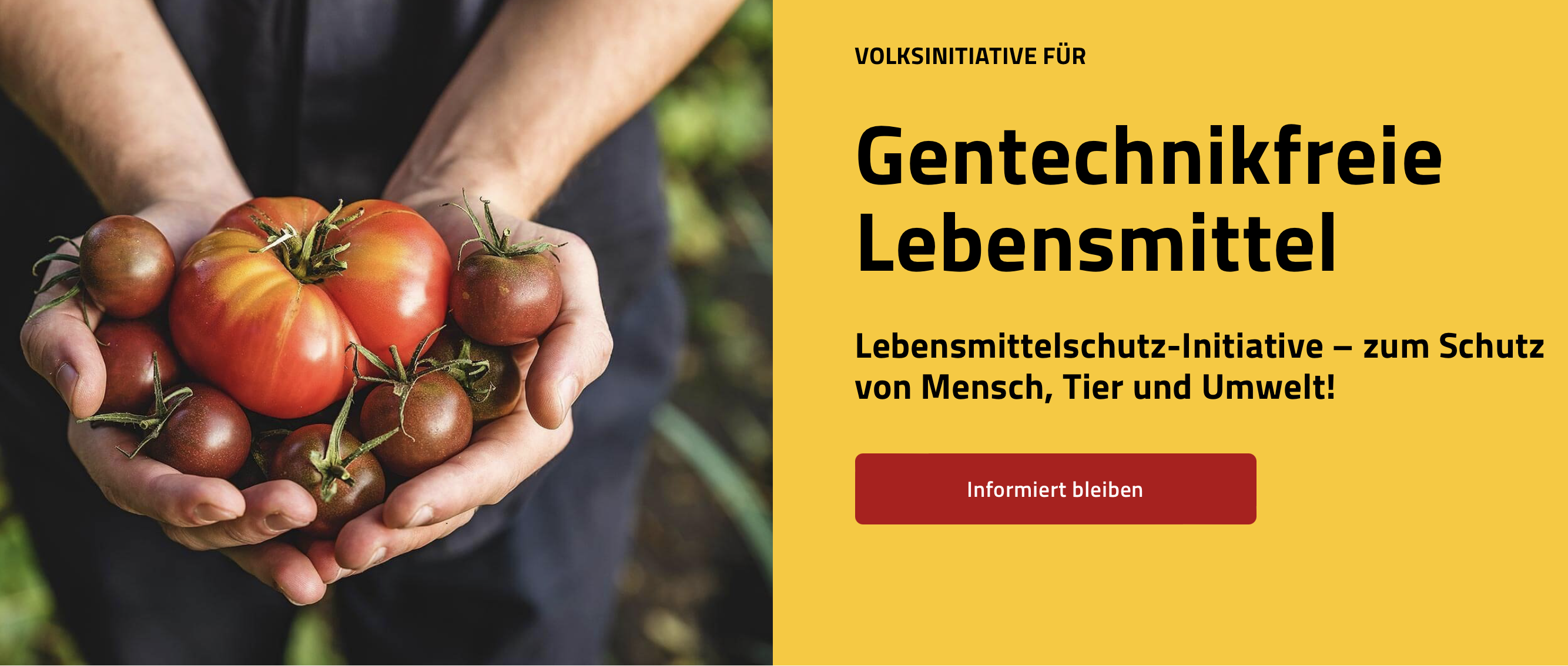 Gentechnik auch in Zukunft strikt regulieren! Jetzt Initiative unterschreiben