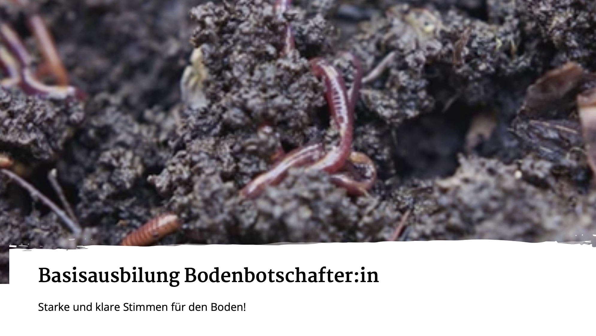 Basisausbildung - Bodenbotschafter:in